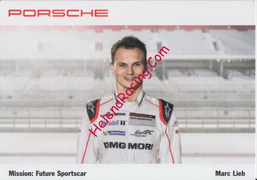Card 2016 WEC-LMP1 (NS).jpg