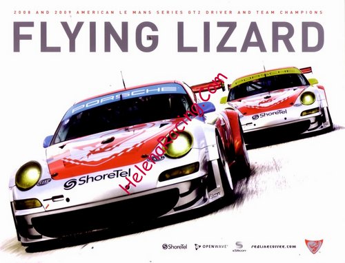 Card 2010 Sebring 12 h (NS).jpg