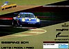 Card 2011 Sebring 12 h (NS).jpg