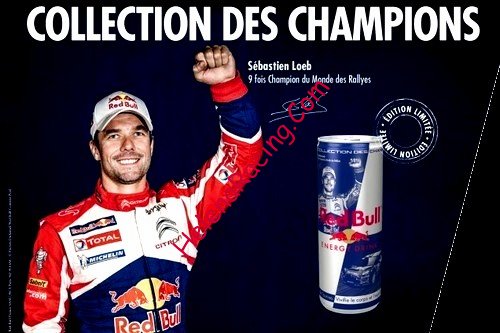 Card 2013 Red Bull (P).jpg