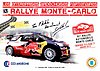 Card 2013 WRC-2-Monte Carlo (P)-.jpg
