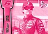 2013 Pass-Pink.JPG