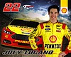 Card 2013 Sprint Cup-Pennzoil (NS).jpg