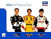 Card 2014 Sprint Cup-SKF (NS).jpg