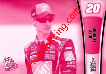 2013 Pass-1-Pink.JPG