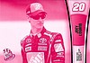 2013 Pass-1-Pink.JPG