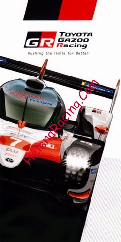 Card 2018-2019 WEC-LMP1 Recto (NS).jpg