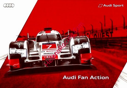 Card 2015 Le Mans 24 h (NS).jpg