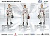 Card 2017 Le Mans 24 h Verso (NS).jpg