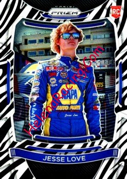 2021 Prizm-Zebra.jpg
