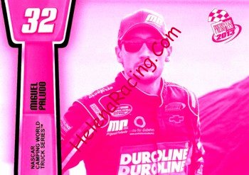 2013 Pass-Pink.jpg