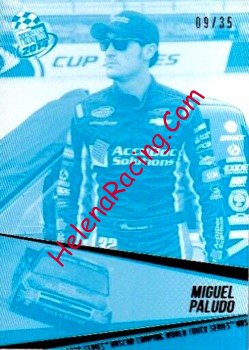 2014 Pass-Blue.jpg