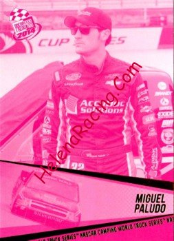 2014 Pass-Pink.jpg