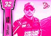 2013 Pass-Pink.jpg