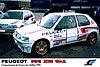 Card 1993 Rallye-France-1 (NS).jpg