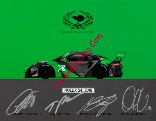 Card 2019 Daytona 24 h (NS).jpg
