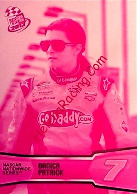 2013 Pass-2--Pink.jpg