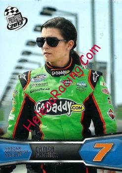 2013 Pass-2.jpg