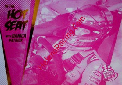 2014 Hot Seat-Pink.jpg
