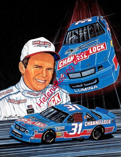 Card 1994 Busch Series (NS).jpg