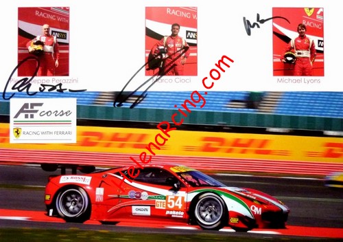 Card 2014 ELMS-GTE-2 (S).jpg