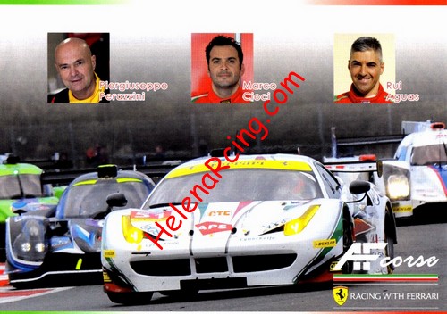 Card 2016 ELMS-GTE-2 (NS).jpg
