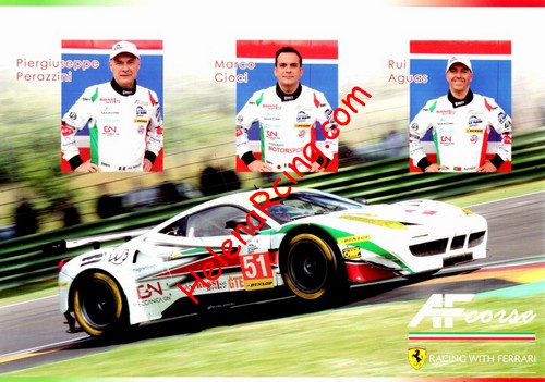 Card 2016 ELMS-GTE-3 (NS).jpg