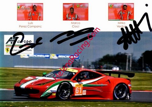 Card 2014 WEC-GTE (S)-.jpg