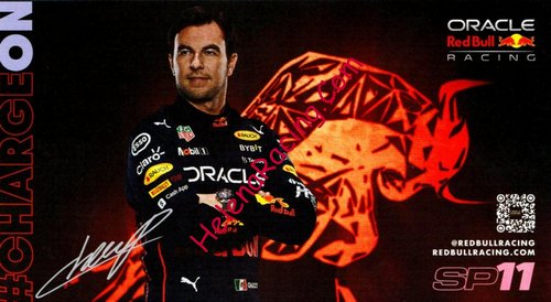 Card 2022 Formula 1 Verso (P).jpg