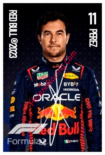 Card 2023 Formula 1 (P).jpg