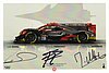 Card 2018 ELMS-LMP2 (S).jpg