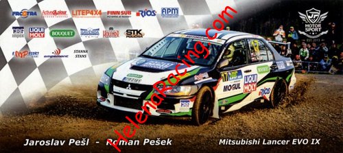 Card 2017 Rally-Czech (NS).jpg