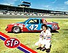 Card 1981 Winston Cup (NS).jpg