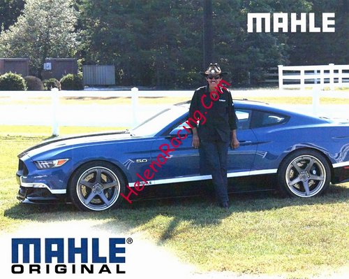 Card 2017 Mahle Original (NS).jpg