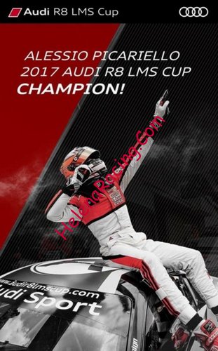Card 2017 Audi R8 LMS Cup (NS).jpg