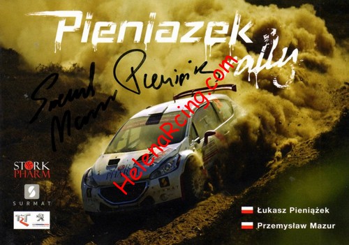 Card 2017 WRC (S).jpg