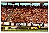 1979 Grand Prix-114.jpg