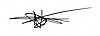Autograph.jpg