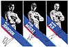 Card 2016 Le Mans 24 h Verso (S).jpg