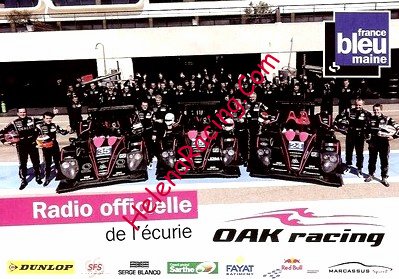 Card 2013 Le Mans 24 h-Maine (NS).jpg