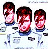 Card 2016 Sebring 12 h (NS).jpg