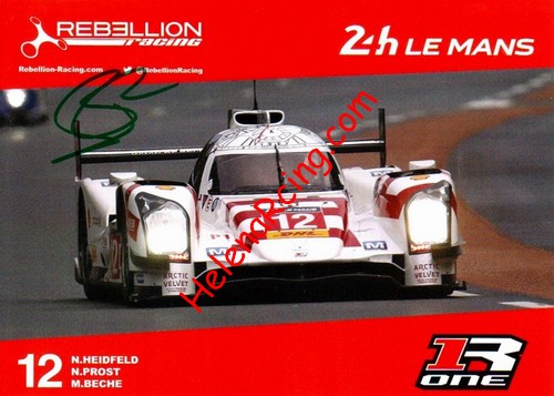 Card 2015 Le Mans 24 h Recto (S).JPG