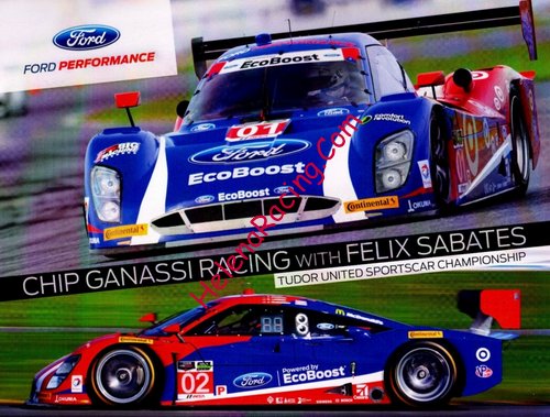 Card 2015 Daytona 24 h (NS).jpg