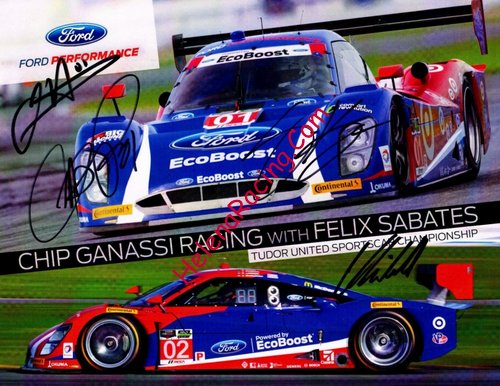 Card 2015 Daytona 24 h (S).jpg