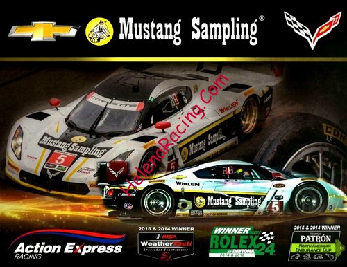 Card 2016 Daytona 24 h (NS).jpg
