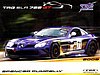 Card 2009 World Challenge (NS).jpg
