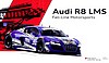 Card 2014 Daytona 24 h (NS).JPG