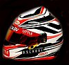 Helmet 2014.jpg