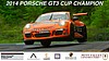 Poster 2014 IMSA GT3 Cup (NS).jpg