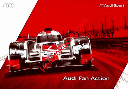 Card 2015 Le Mans 24 h (NS).jpg